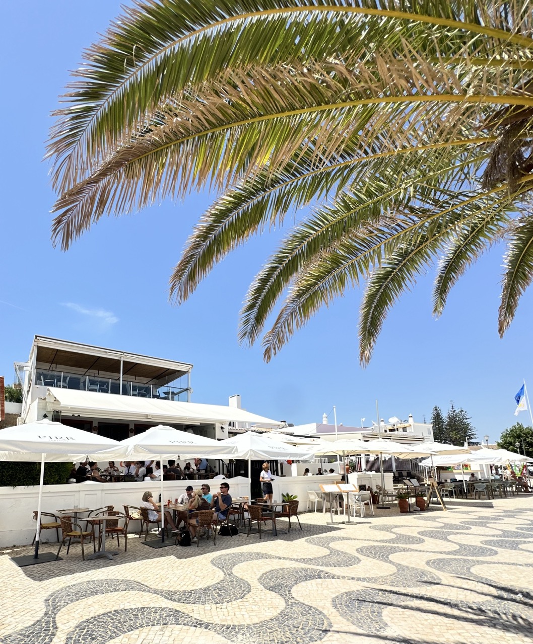 Esplanada com palmeira e calçada portuguesa